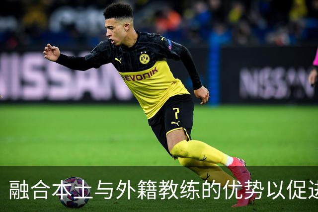 融合本土与外籍教练的优势以促进篮球发展